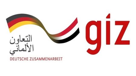 الوكالة الألمانية للتعاون الدولي تنظم ورشة الجسور الرقمية لمناقشة تحديات الفجوة الرقمية