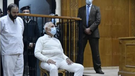 قرار عاجل بشأن محاكمة نجل عبد المنعم أبو الفتوح