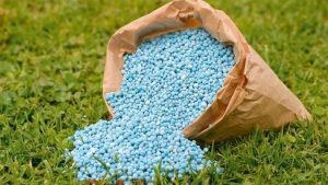 تحرك عاجل من الزراعة للقضاء على بيع الأسمدة المدعمة المهربة للسوق السوداء