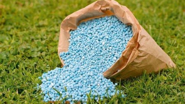 تحرك عاجل من الزراعة للقضاء على بيع الأسمدة المدعمة المهربة للسوق السوداء