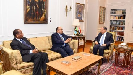 التعاون والتكامل في نهر النيل.. وزير الخارجية يلتقي نظيره التنزاني