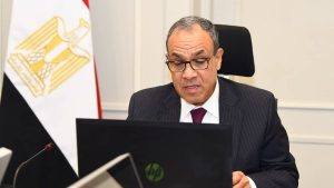وزير الخارجية يستعرض الرؤية المصرية لتحقيق السلام والتنمية في شرق الكونغو