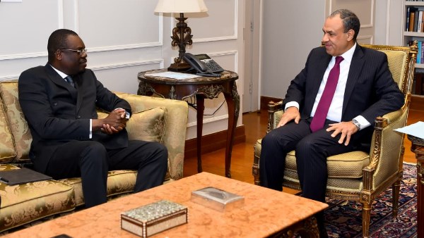 وزير الخارجية يؤكد دعم مصر لتعزيز منظومة الصحة والأمن الدوائي في أفريقيا