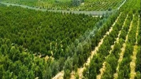 دعم المشروعات الصناعية المساهمة في تحسين البيئة وتوفير فرص عمل لأبناء سيناء