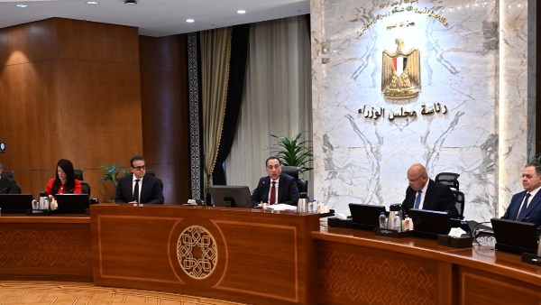 الحكومة توافق على مد العمل بتأشيرة الدخول الاضطرارية مجاناً للوافدين جواً إلى مطاري الأقصر وأسوان