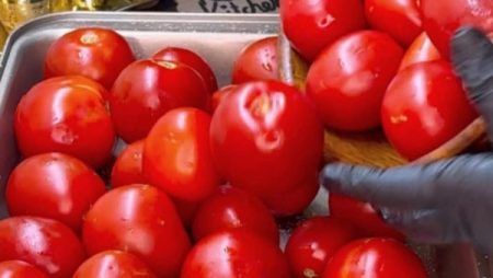 انخفاض مؤقت.. موعد ارتفاع أسعار الطماطم بالأسواق| كم سيصل سعر الكيلو؟