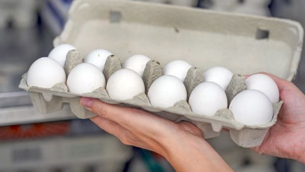 هل البيض ضار فعلًا بالصحة؟