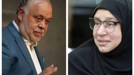 أشرف زكي: عبلة كامل بخير وفي منزلها