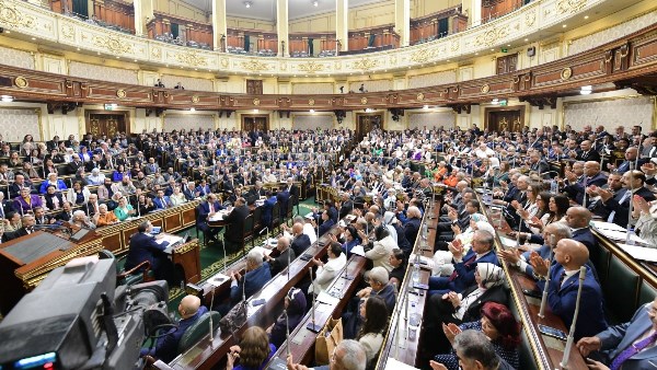 برلمانية: المبادرات الرئاسية الصحية أحدثت نقلة نوعية في تشخيص وعلاج الأمراض النادرة