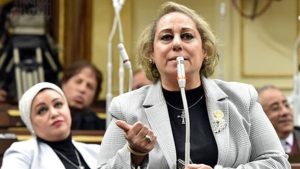 ميرفت ألكسان: مصر تستهدف ضخ استثمارات فى القطاع الخاص