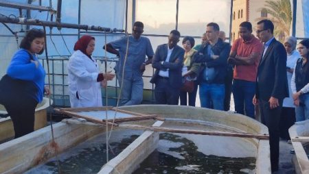 معهد علوم البحار والمصايد يستقبل وفدًا دوليًا لتعزيز التعاون في الاقتصاد الأزرق