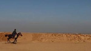 أخبارأسوان: رصف للطرق.. وهذه حكاية سباق مرماح الخيول السنوي.. وإزالة للتعديات.. وتحسين لمياه الشرب