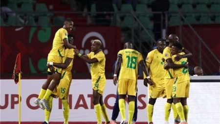 منتخب جنوب إفريقيا يرافق مصر بدور الـ16 وزيمبابوي يودع البطولة
