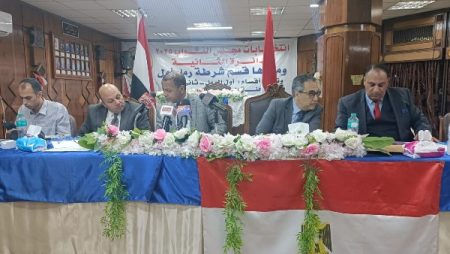 بالأرقام.. الحصر العددي لانتخابات مجلس النواب بدائرة الرمل المعادة