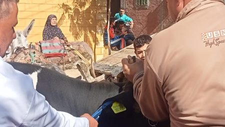 بيطري الغربية: تدشين قافلة لعلاج لـ 152 حيوان وماشية و3600 طائر وصرف التحصينات والأدوية