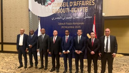 شركات مصرية كبرى تعتزم المشاركة في مشروعات استثمارية ضخمة بجيبوتي