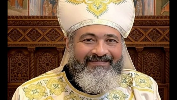 ناقوس خطر.. واقعة عقر القس أرميا فهمي تفتح ملف غزو الكلاب الضالة لشوارع بورسعيد