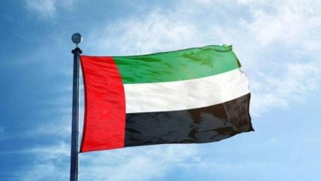 عاجل | وزارة الدفاع الإماراتية تعلن إنهاء ما تبقى من فرق مكافحة الإرهاب في اليمن