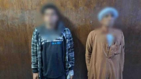 خيول داخل فناء المدرسة.. الداخلية تكشف تفاصيل الواقعة