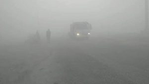 الأرصاد: طقس شديد البرودة صباحًا وليلاً.. وشبورة كثيفة وأمطار على بعض المناطق