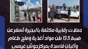 ضبط 13.5 طن مواد غذائية وملح طعام وألبان فاسدة خلال حملات رقابية مكثفة بالبحيرة