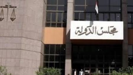 الإدارية العليا تؤجل 257 طعن على نتائج المرحلة الثانية لانتخابات النواب للأربعاء المقبل