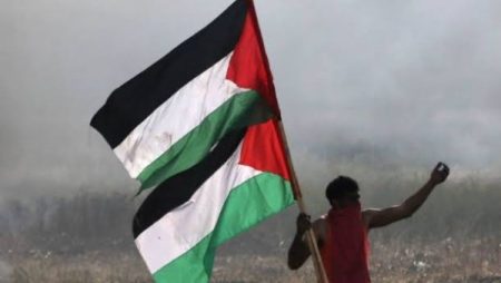 أستاذ علوم سياسية: التحرك المصري أنقذ القضية الفلسطينية من سيناريو التصفية وفرض التهجير