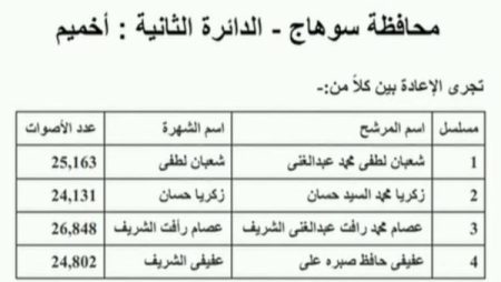 إعادة بين 4 مرشحين بدائرة أخميم بسوهاج بانتخابات مجلس النواب 2025