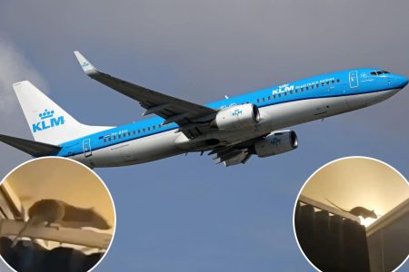 فأر ضخم يندفع نحو الطائرات في مقطع مثير للاشمئزاز