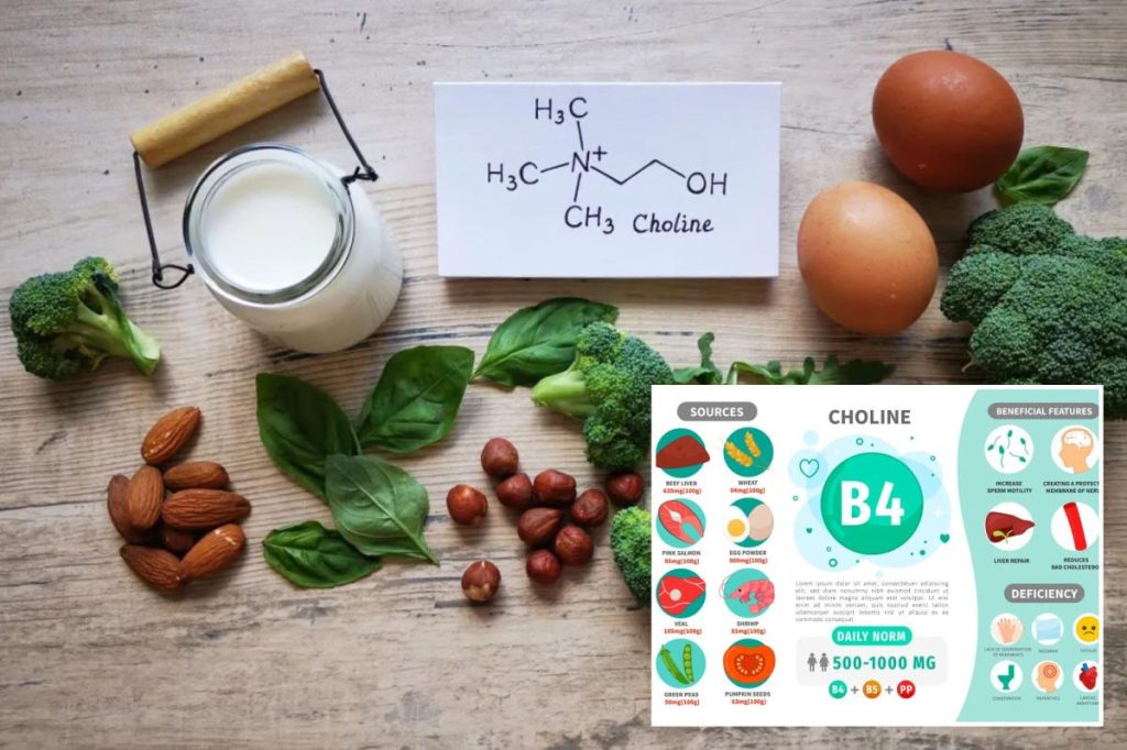 يجد العلماء العناصر الغذائية الرئيسية للدماغ من الأطعمة اليومية التي يفتقر إليها الأشخاص الذين يعانون من القلق