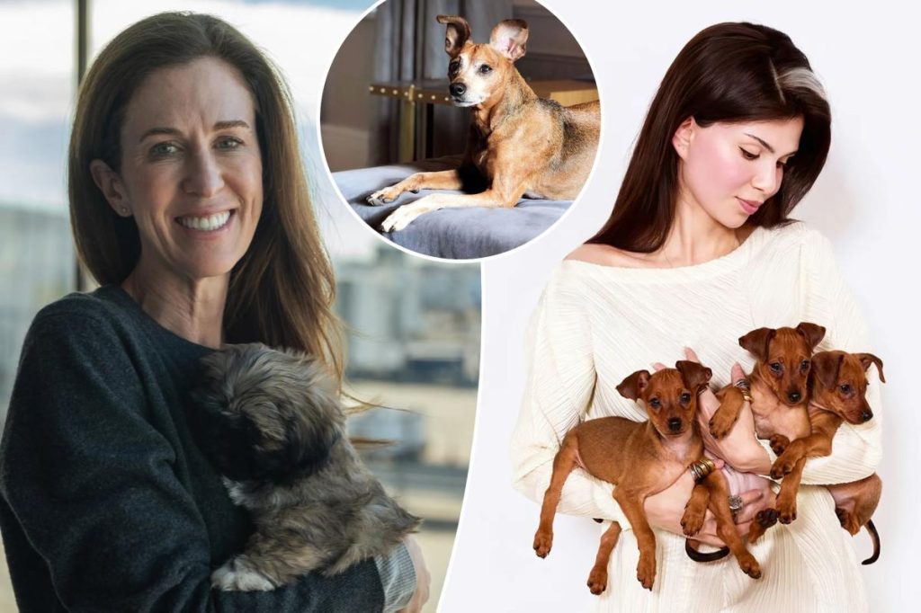 حصريا | كيف أصبحت الحيوانات الأليفة المستنسخة استثمارًا جديدًا ومثيرًا لأصحابها الحزينين