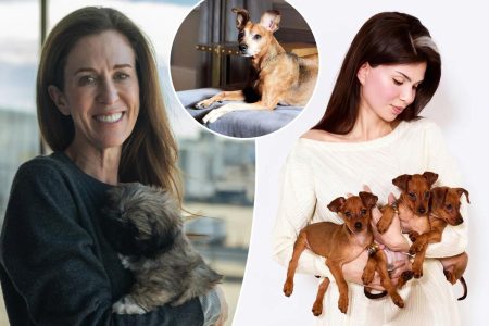 حصريا | كيف أصبحت الحيوانات الأليفة المستنسخة استثمارًا جديدًا ومثيرًا لأصحابها الحزينين