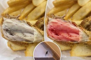 يقوم محتالو استرداد الأموال بالاحتيال على Doordash من خلال صور طعام “إجمالية” تعمل بالذكاء الاصطناعي