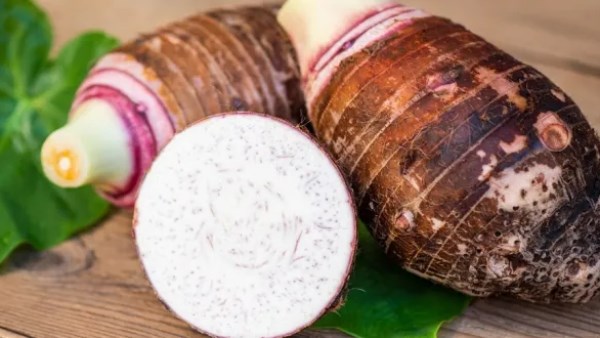 استشاري تغذية يحذر: القلقاش مش بيتغسل قبل الاستخدام