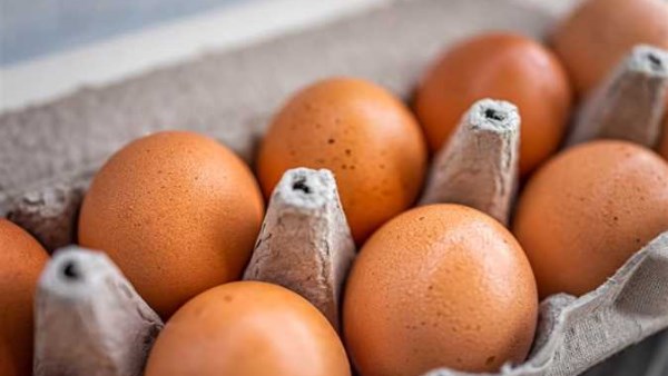 عكس التوقعات.. مفاجأة فى أسعار كرتونة البيض اليوم السبت 3 يناير 2026