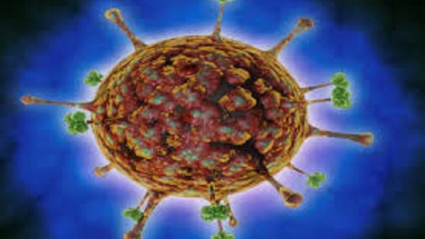 فيروس نبياه.. كيف يتم تشخصيه والأعراض والأسباب