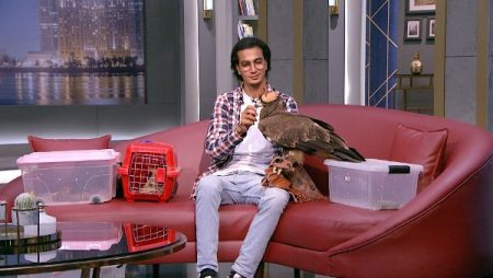 ذئب وصقر وثعبان| عمرو الليثي يواجه أخطر الحيوانات: ماتقلقش خالص