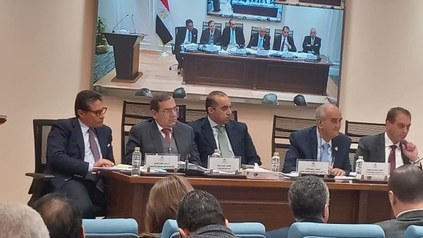 الحكومة: نستهدف التصالح في سرقة الكهرباء بدلا من تطبيق العقوبة على المخالف