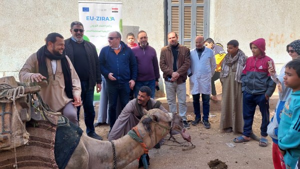 قوافل بيطرية مكثفة بسوهاج تخدم 213 مستفيدًا وتُدرب 60 طبيبًا