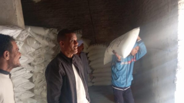 زراعة قنا: صرف 593 ألف شكارة سماد مدعم خلال الموسم الشتوي