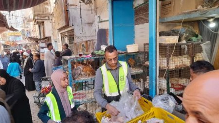 تزامنًا مع احتفالات مولد القنائى..ضبط 265مخالفة متنوعة في حملة مكبرة بمدينة قنا