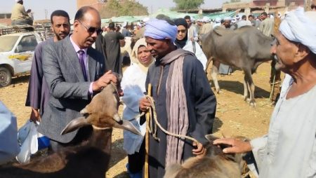 طب بيطرى أسوان: قوافل مجانية داخل 91 قرية وتحصين 723 ألف حيوان وطائر خلال 2025