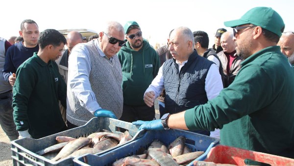 موجز أخبار الوادي الجديد.. المحافظ يتفقد توسعات مشروع الاستزراع السمكي وخطة التوسعات