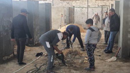 بورسعيد .. الانتهاء من 80٪ من أعمال إنشاء شلتر لإيواء الكلاب الضالة