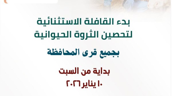 انطلاق الحملة الإستثنائية لتحصين المواشي ضد الحمى القلاعية لتحصين الماشية بالشرقية