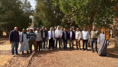 إنتاج فسائل النخيل بإقليم توشكى لتقليل الاعتماد على المصادر الخارجية