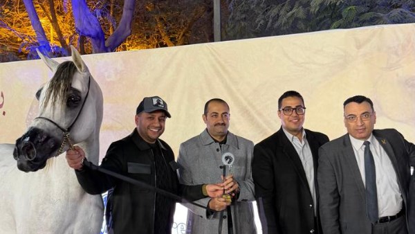 اختتام بطولة فخر مصر بنادي الجزيرة لجمال الخيول العربية الأصيلة.. صور