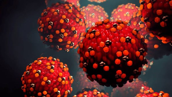 أصاب 90 شخصا.. فيروس خطير يتفشى على متن سفينة سياحية أمريكية