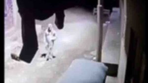 خلافات الميراث تدفع عاملا لإشعال النار فى توك توك بـ سوهاج