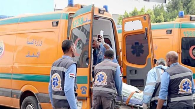 الدقهلية.. ننشر أسماء 9 مصابين في حادث انقلاب تروسيكل على طريق جمصة